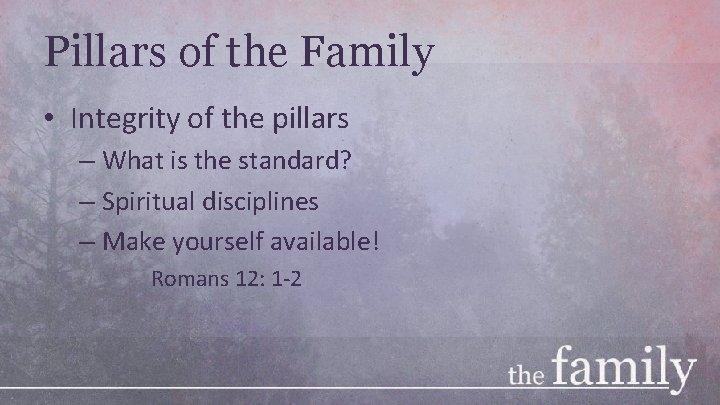 Pillars of the Family • Integrity of the pillars – What is the standard?