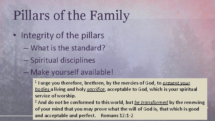 Pillars of the Family • Integrity of the pillars – What is the standard?