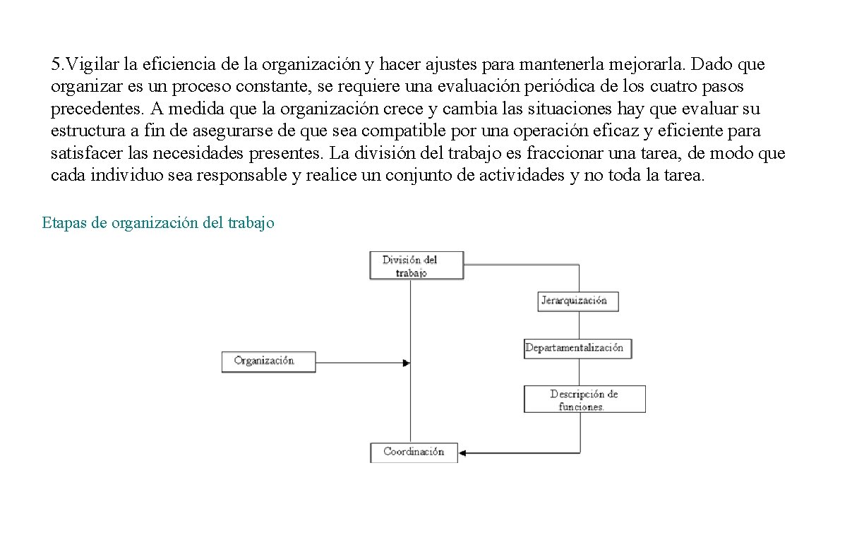 5. Vigilar la eficiencia de la organización y hacer ajustes para mantenerla mejorarla. Dado