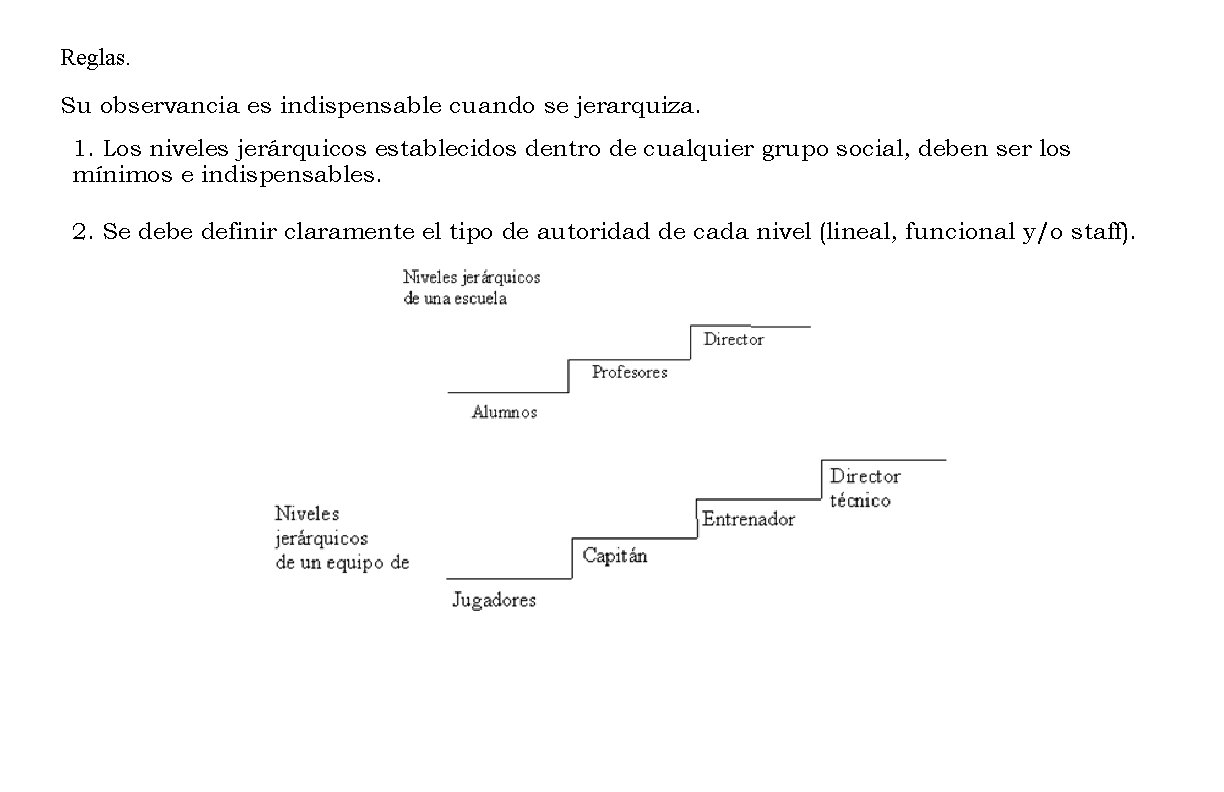 Reglas. Su observancia es indispensable cuando se jerarquiza. 1. Los niveles jerárquicos establecidos dentro