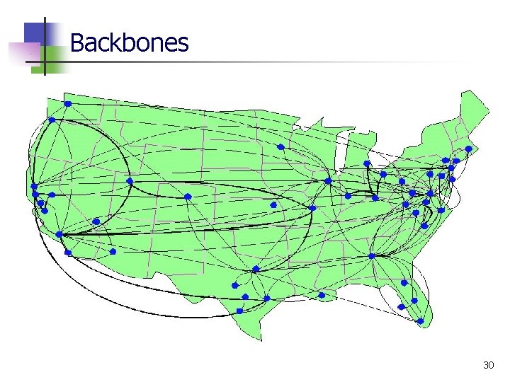Backbones 30 Backbones 30