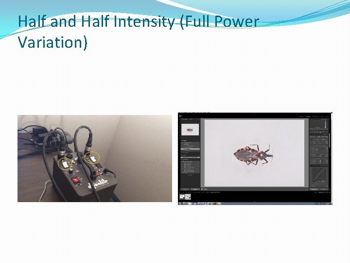 Half and Half Intensity (Full Power Variation) 