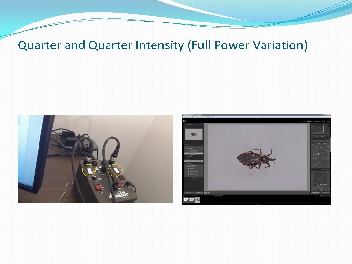 Quarter and Quarter Intensity (Full Power Variation) 