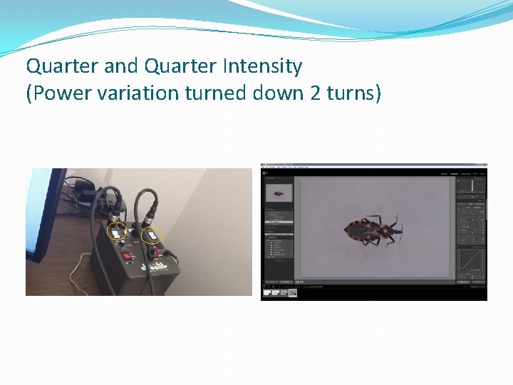 Quarter and Quarter Intensity (Power variation turned down 2 turns) 