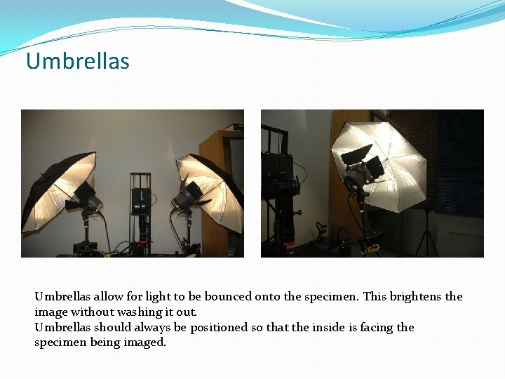 Umbrellas allow for light to be bounced onto the specimen. This brightens the image