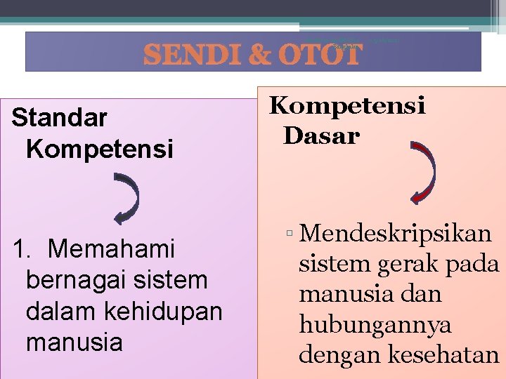 Makhrus Ali SMAN 4 Bangkalan SENDI & OTOT Standar Kompetensi 1. Memahami bernagai sistem