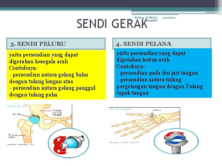 Makhrus Ali SMAN 4 Bangkalan SENDI GERAK 05/06/2021 3. SENDI PELURU 4. SENDI PELANA