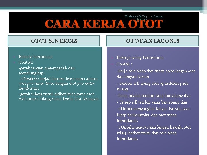 Makhrus Ali SMAN 4 Bangkalan OTOT SINERGIS • Bekerja bersamaan • Contoh: -gerak tangan