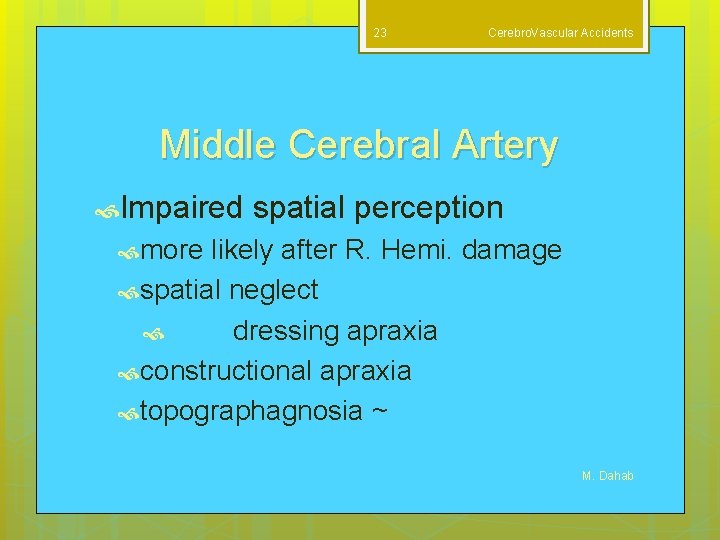 23 Cerebro. Vascular Accidents Middle Cerebral Artery Impaired spatial perception more likely after R.
