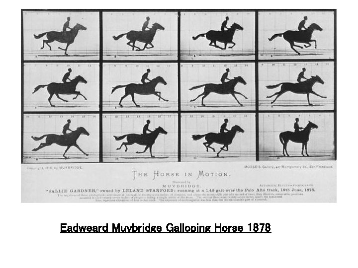 Eadweard Muybridge Galloping Horse 1878 