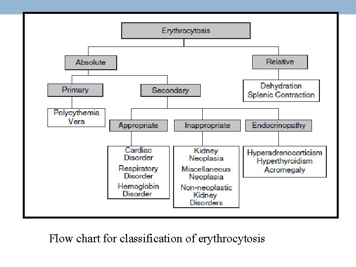 Flow chart for classification of erythrocytosis 