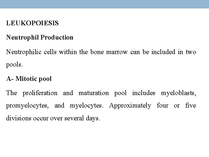 LEUKOPOIESIS Neutrophil Production Neutrophilic cells within the bone marrow can be included in two