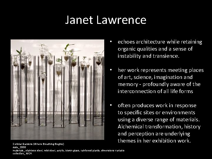 Janet Lawrence • echoes architecture while retaining organic qualities and a sense of instability