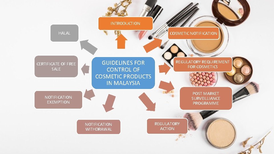 INTRODUCTION HALAL CERTIFICATE OF FREE SALE COSMETIC NOTIFICATION GUIDELINES FOR CONTROL OF COSMETIC PRODUCTS