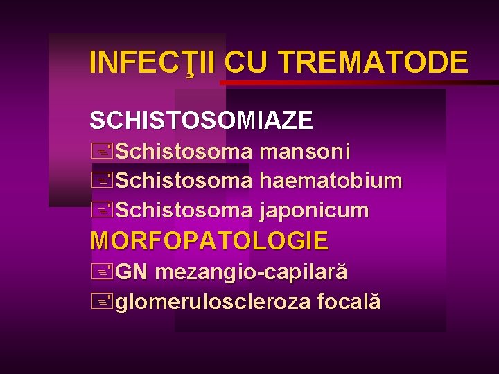 INFECŢII CU TREMATODE SCHISTOSOMIAZE +Schistosoma mansoni +Schistosoma haematobium +Schistosoma japonicum MORFOPATOLOGIE +GN mezangio-capilară +glomeruloscleroza