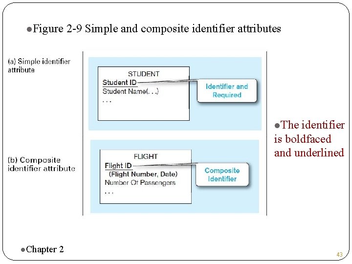 l. Figure 2 -9 Simple and composite identifier attributes l. The identifier is boldfaced l. Figure 2 -9 Simple and composite identifier attributes l. The identifier is boldfaced