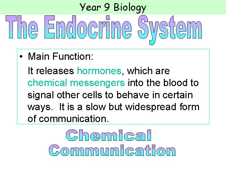 Year 9 Biology • Main Function: It releases hormones, which are chemical messengers into