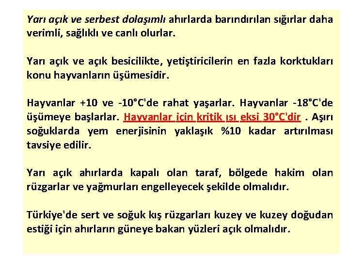 Yarı açık ve serbest dolaşımlı ahırlarda barındırılan sığırlar daha verimli, sağlıklı ve canlı olurlar.