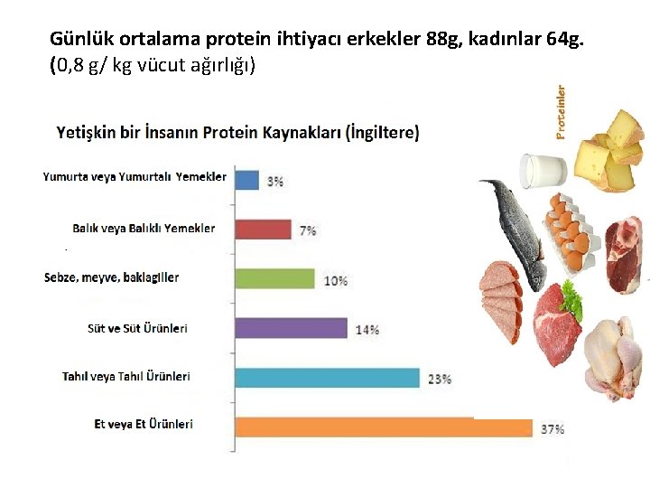 Günlük ortalama protein ihtiyacı erkekler 88 g, kadınlar 64 g. (0, 8 g/ kg