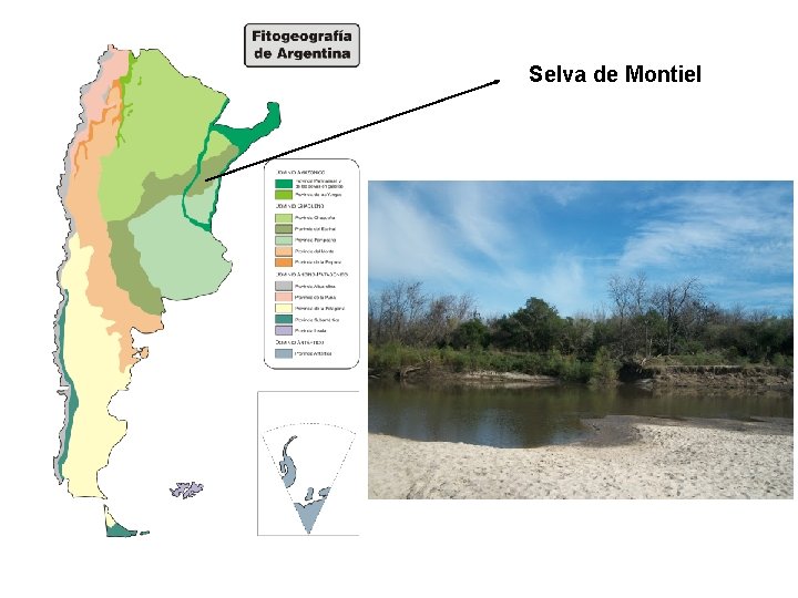 Selva de Montiel 