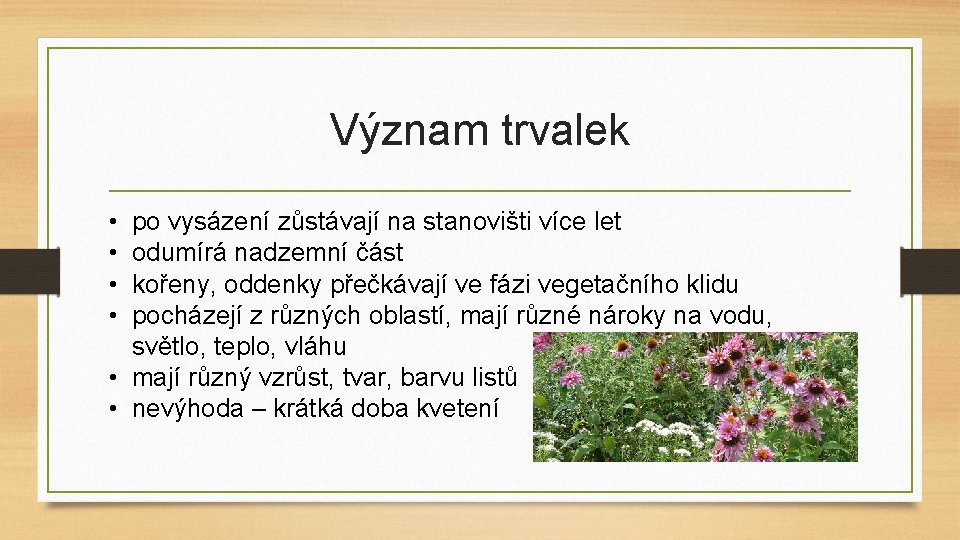 Význam trvalek • • po vysázení zůstávají na stanovišti více let odumírá nadzemní část