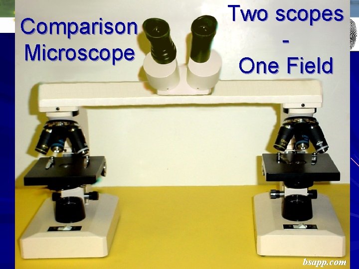 Comparison Microscope Two scopes One Field bsapp. com  Comparison Microscope Two scopes One Field bsapp. com