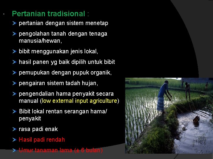  Pertanian tradisional : pertanian dengan sistem menetap pengolahan tanah dengan tenaga manusia/hewan, bibit