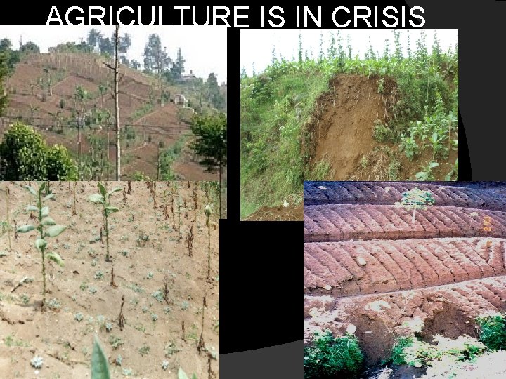 AGRICULTURE IS IN CRISIS 