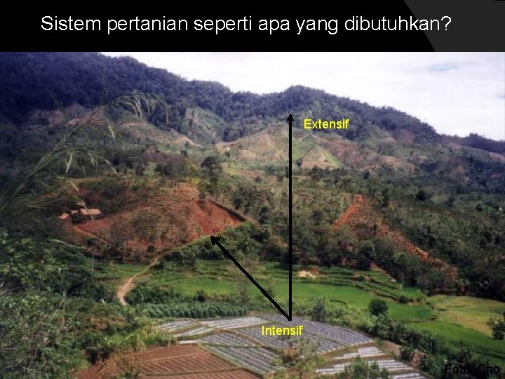 Sistem pertanian seperti apa yang dibutuhkan? Extensif Intensif Foto: Cho 