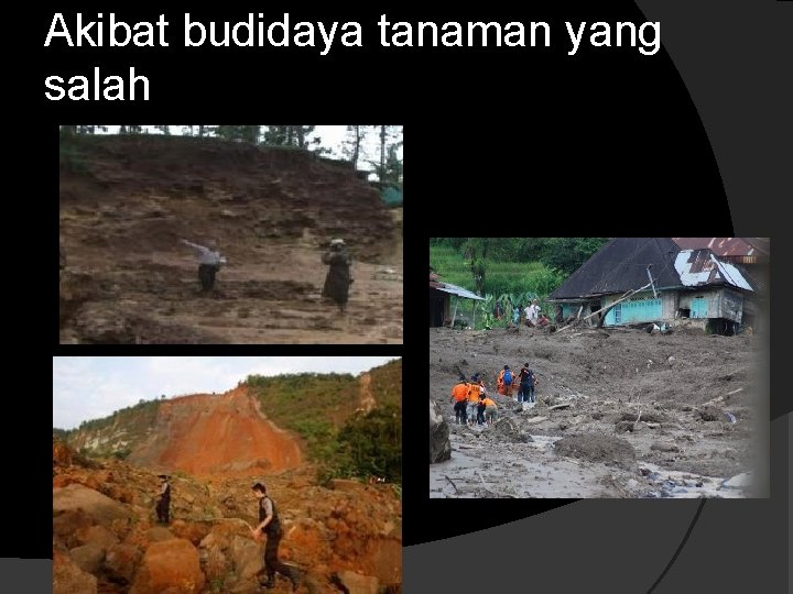 Akibat budidaya tanaman yang salah 