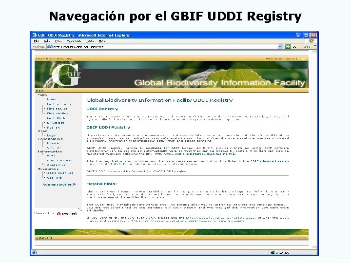 Navegación por el GBIF UDDI Registry Global Biodiversity Information Facility 