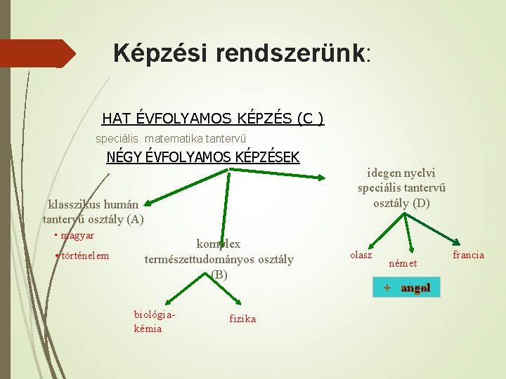 Képzési rendszerünk: HAT ÉVFOLYAMOS KÉPZÉS (C ) speciális matematika tantervű NÉGY ÉVFOLYAMOS KÉPZÉSEK idegen