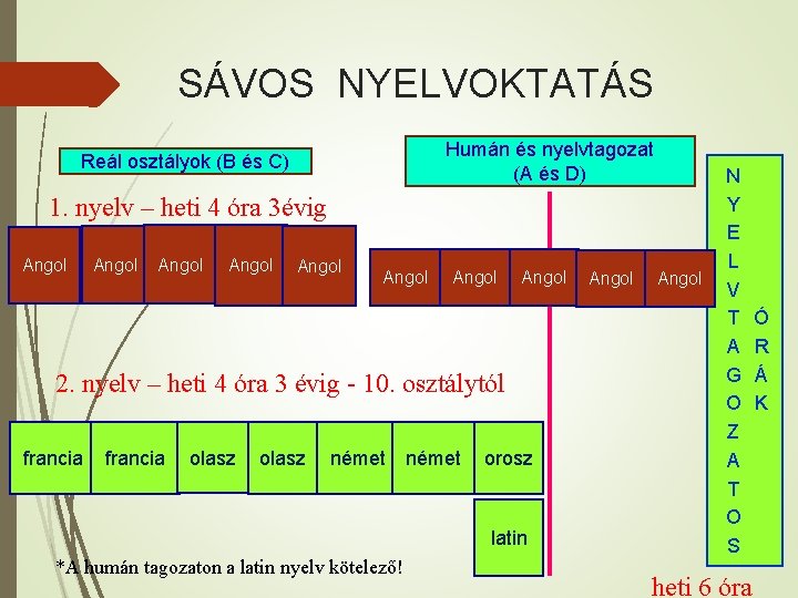 SÁVOS NYELVOKTATÁS Humán és nyelvtagozat (A és D) Reál osztályok (B és C) 1.