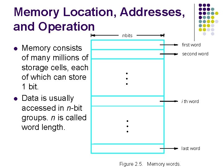 Memory Location, Addresses, and Operation n bits l l Memory consists of many millions