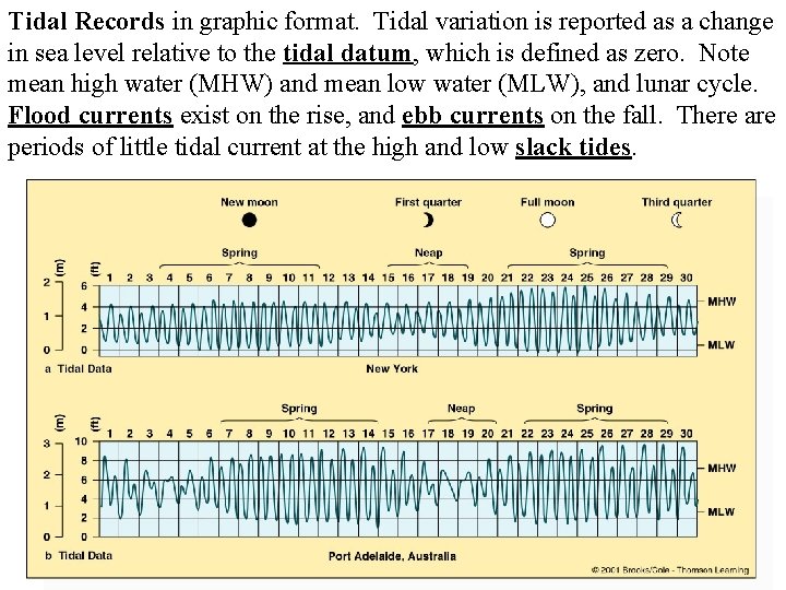 Tidal Records in graphic format. Tidal variation is reported as a change in sea