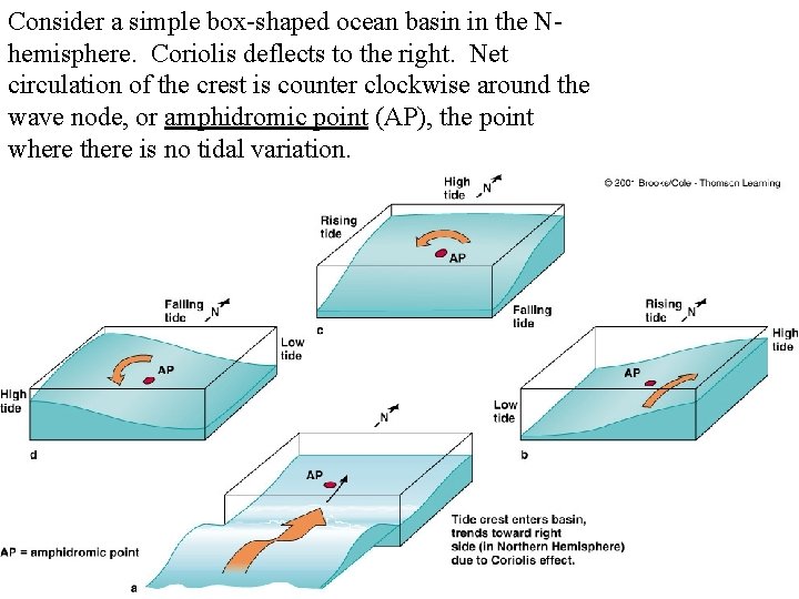 Consider a simple box-shaped ocean basin in the Nhemisphere. Coriolis deflects to the right.