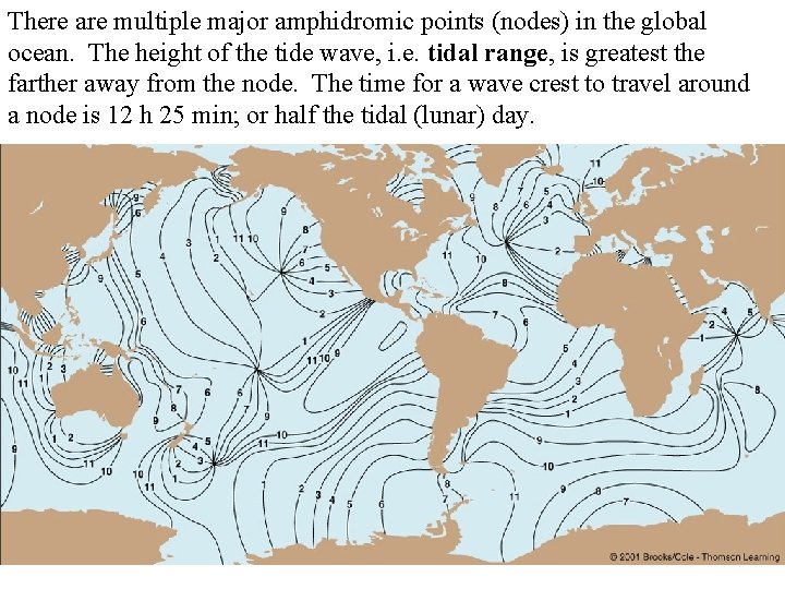 There are multiple major amphidromic points (nodes) in the global ocean. The height of