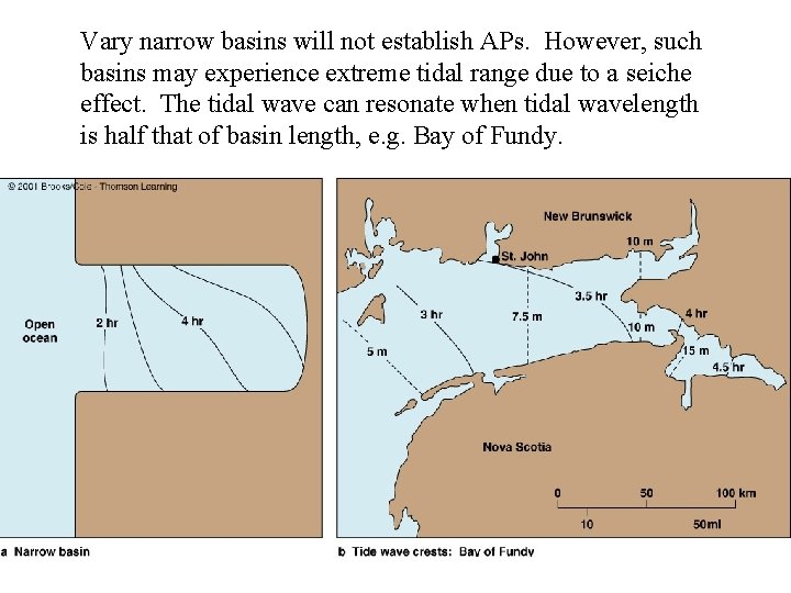 Vary narrow basins will not establish APs. However, such basins may experience extreme tidal