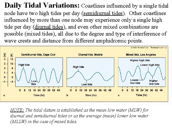 Daily Tidal Variations: Coastlines influenced by a single tidal node have two high tides