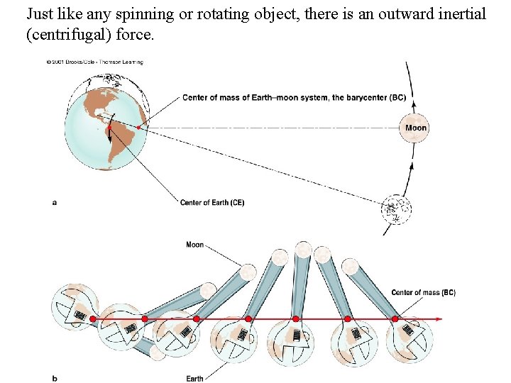 Just like any spinning or rotating object, there is an outward inertial (centrifugal) force.