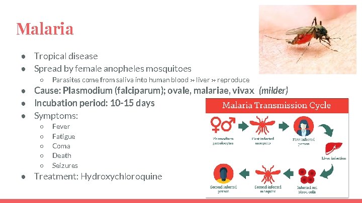 Malaria ● Tropical disease ● Spread by female anopheles mosquitoes ○ Parasites come from