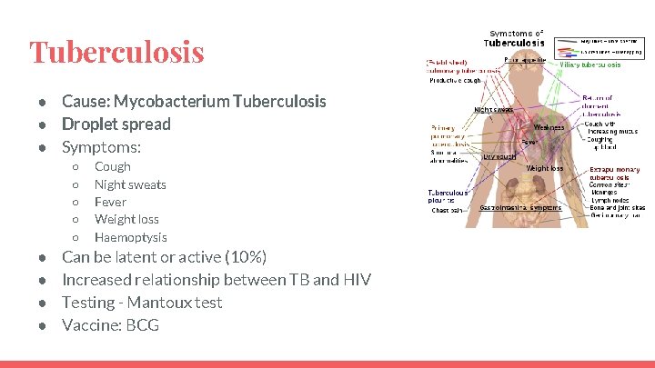 Tuberculosis ● Cause: Mycobacterium Tuberculosis ● Droplet spread ● Symptoms: ○ ○ ○ ●