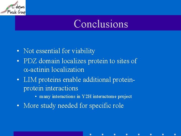 Conclusions • Not essential for viability • PDZ domain localizes protein to sites of