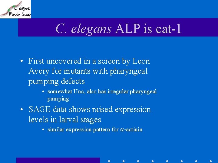 C. elegans ALP is eat-1 • First uncovered in a screen by Leon Avery