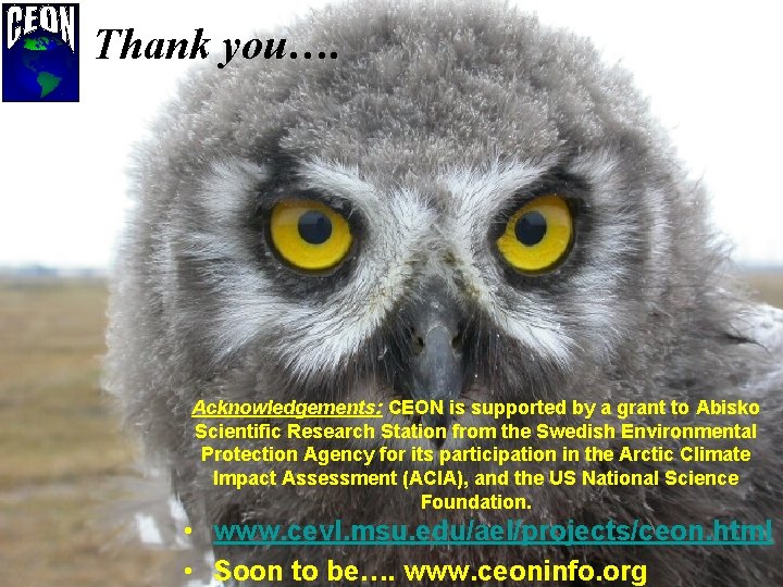 Thank you…. Acknowledgements: CEON is supported by a grant to Abisko Scientific Research Station