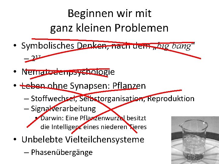 Beginnen wir mit ganz kleinen Problemen • Symbolisches Denken, nach dem „big bang“ –