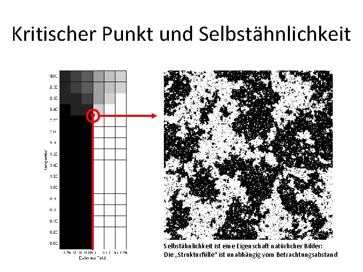 Kritischer Punkt und Selbstähnlichkeit ist eine Eigenschaft natürlicher Bilder: Die „Strukturfülle“ ist unabhängig vom