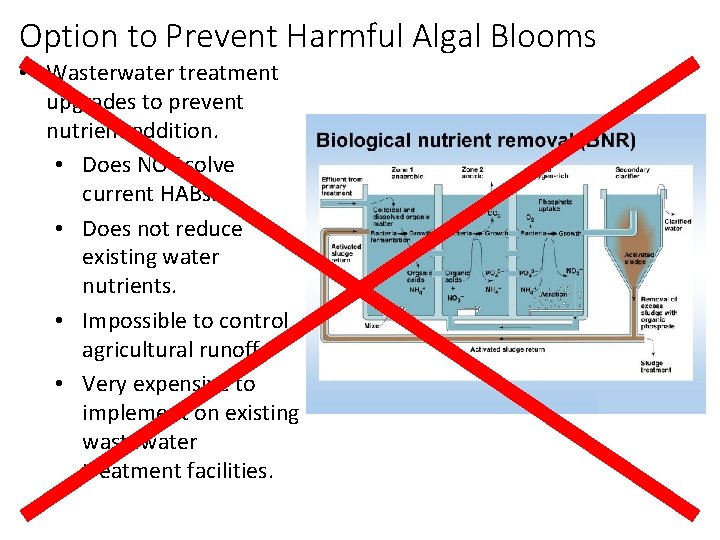Option to Prevent Harmful Algal Blooms • Wasterwater treatment upgrades to prevent nutrient addition.