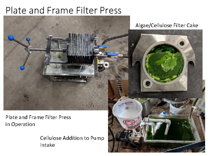 Plate and Frame Filter Press Algae/Cellulose Filter Cake Plate and Frame Filter Press in