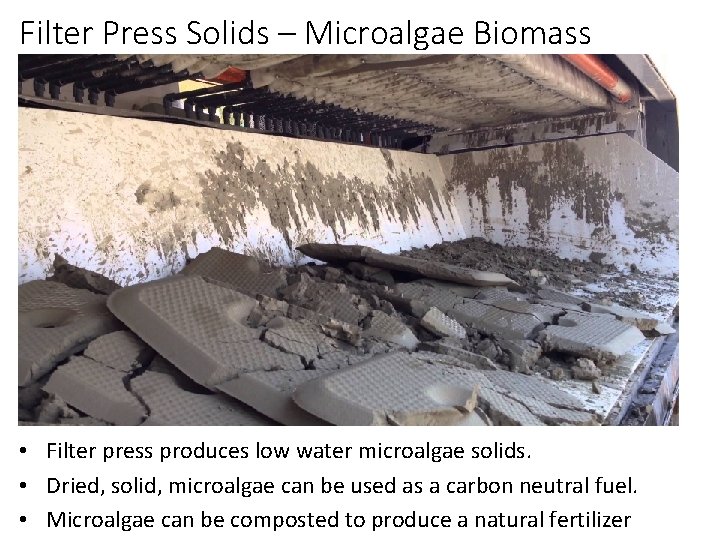 Filter Press Solids – Microalgae Biomass • Filter press produces low water microalgae solids.